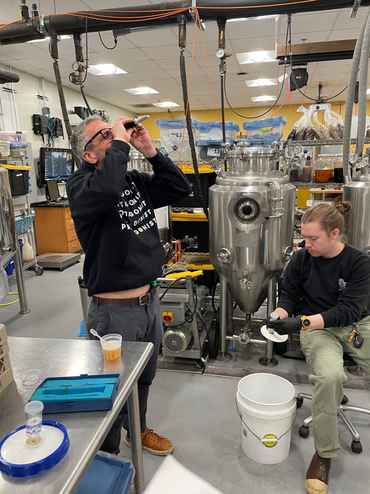 Non-Alcoholic Beer Alchemy